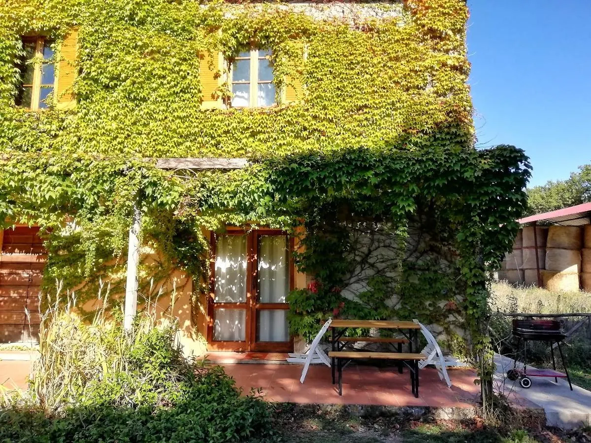 Podere Poggio Corbo Chiusdino